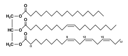 Structure of a triglyceride