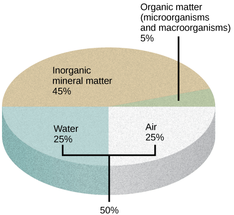  Illustration shows a pie graph that outlines the composition of soil. Forty-five percent is inorganic mineral matter, 25 percent is water, 25 percent is air, and 5 percent is organic matter, including microorganisms and macroorganisms.