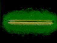 Radon gas: A gold tube filled with radon gas.